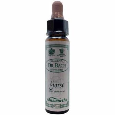 Gorse bach bloesem 10ml. - Ainsworths