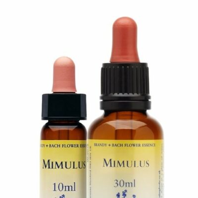 Mimulus bach remedie - Healing Herbs